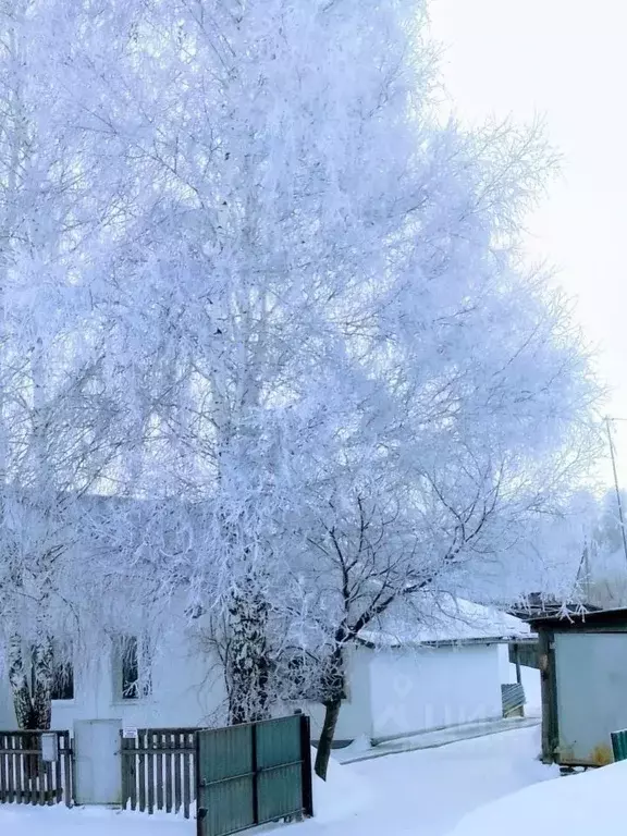 Дом в Алтайский край, Ребрихинский район, с. Подстепное Луговая ул., 3 ... - Фото 1