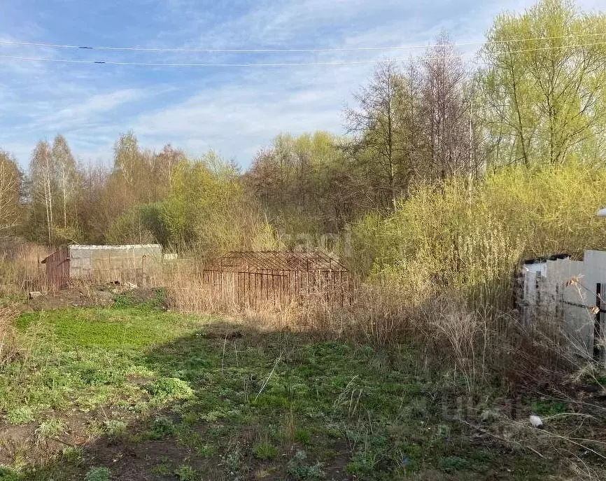 Участок в Челябинская область, Озерский городской округ, д. Новая Теча ... - Фото 1