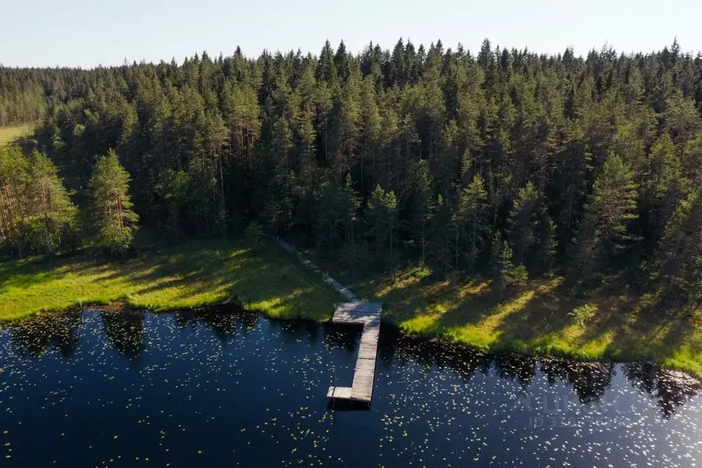 Участок в Ленинградская область, Выборгский район, Первомайское с/пос, ... - Фото 1