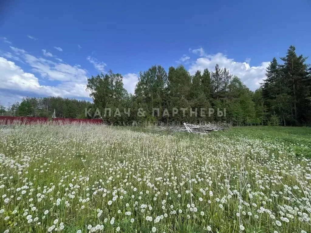 Участок в Свердловская область, Полевской муниципальный округ, с. ... - Фото 2
