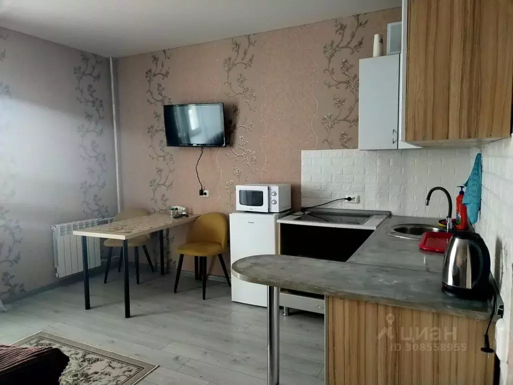 Студия Владимирская область, Владимир Северная ул., 55 (26.0 м) - Фото 0