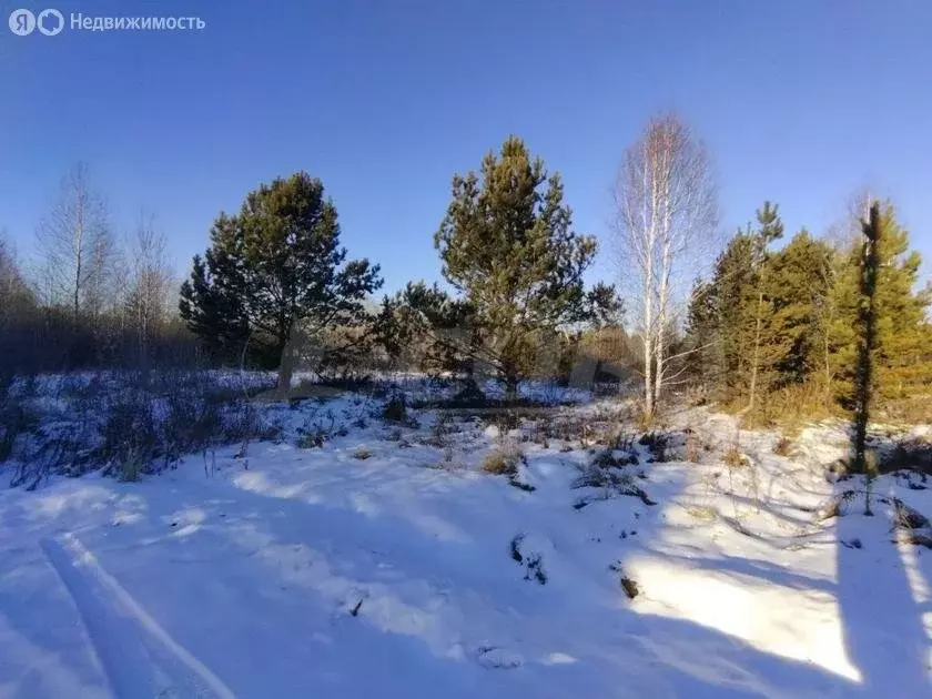 Участок в Ялуторовский район, село Киева (17.7 м) - Фото 0