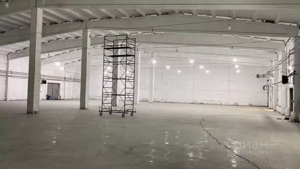 Склад в Свердловская область, Екатеринбург ул. Ангарская, 77Б (4000 м) - Фото 1