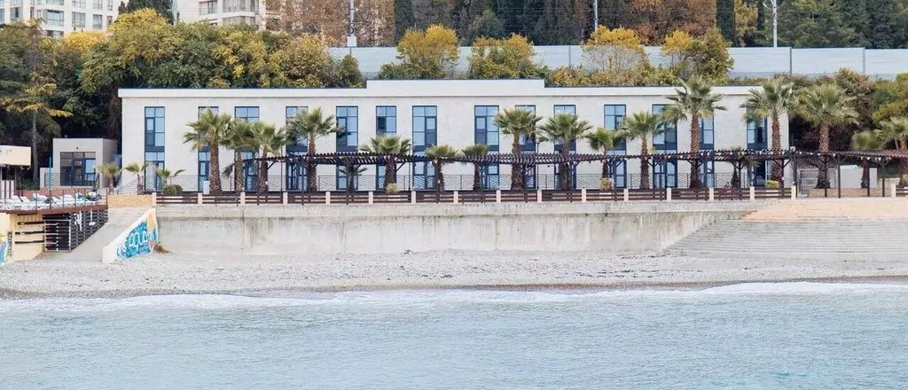 1-к кв. Краснодарский край, Сочи ул. Бзугу, 10 (40.0 м) - Фото 1