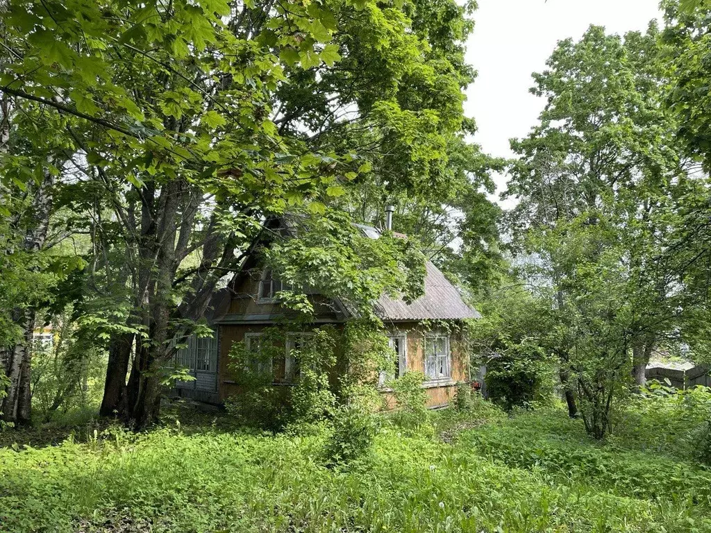 Участок 8 сот. (СНТ, ДНП) - Фото 0