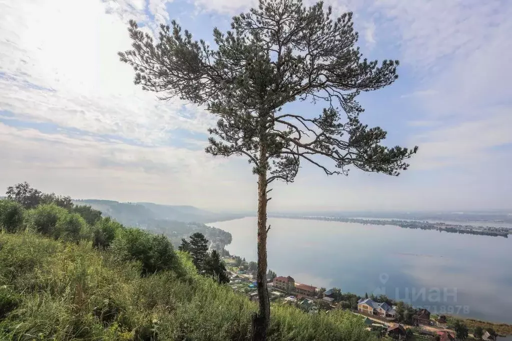 Участок в Иркутская область, Иркутский муниципальный округ, д. ... - Фото 1