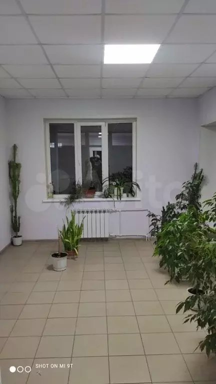 улица 1 мая дом 1 вязьма. вязьма 25 октября 37. маяковского 5 вязьма. 25 октября д 1 вязьма. вяземская 33.