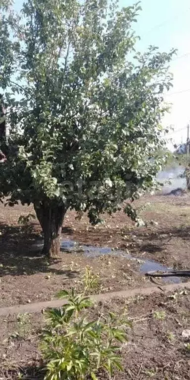Дом в Оренбургская область, Оренбургский район, Ленинский сельсовет, ... - Фото 1