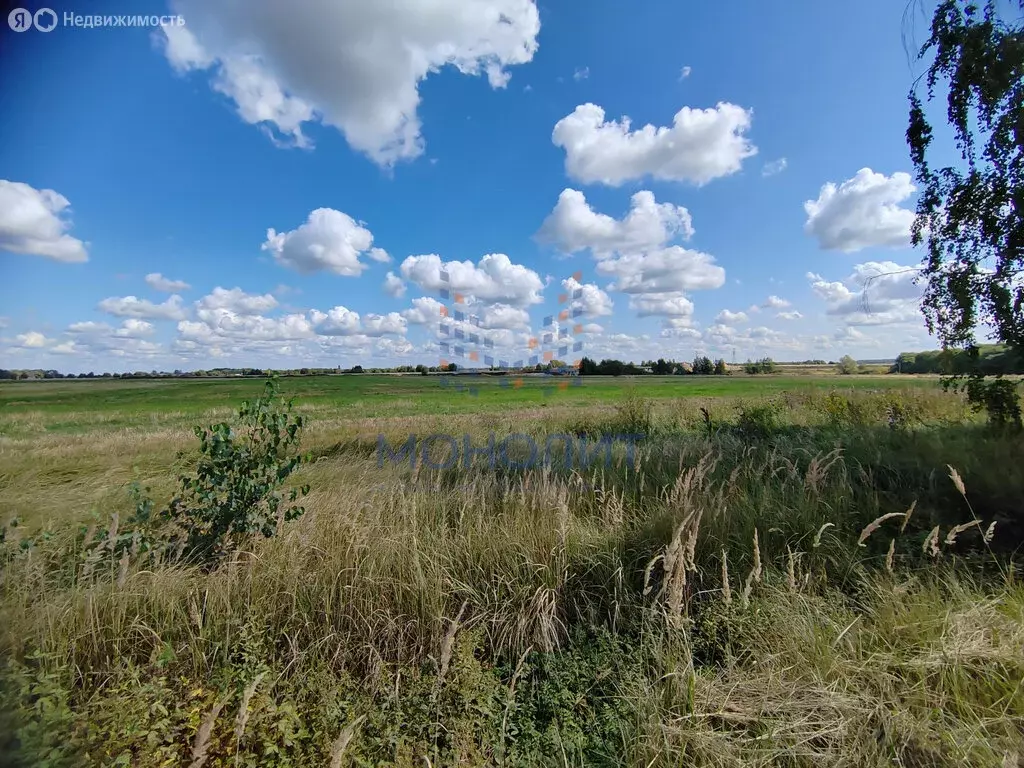 Участок в Наро-Фоминский городской округ, деревня Лисинцево (8 м) - Фото 1