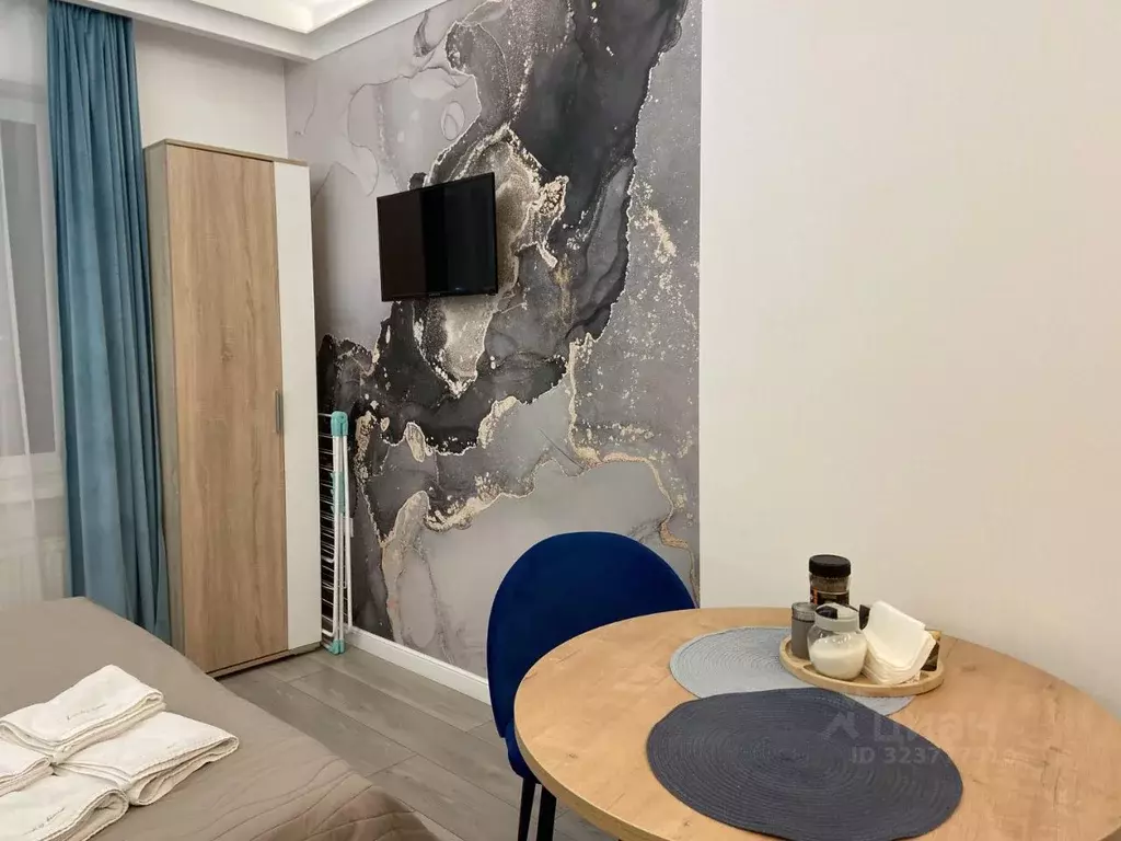 Студия Ленинградская область, Гатчина Пушкинское ш., 13к3 (24.0 м) - Фото 2