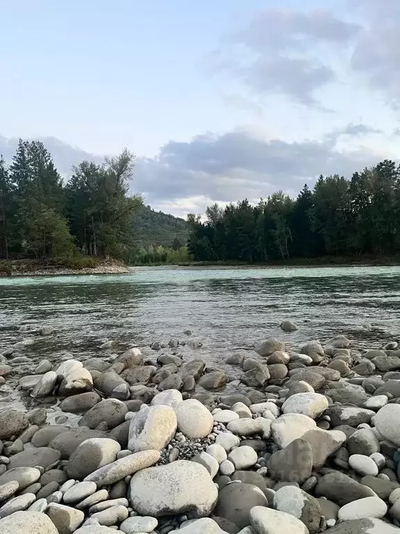 Комната Алтай, Майминский район, с. Манжерок - Фото 1