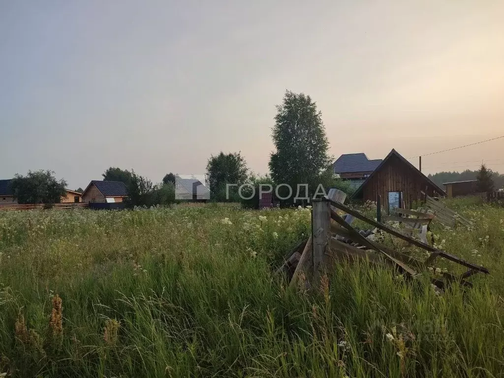 Участок в Новосибирская область, Новосибирский район, Толмачевский ... - Фото 2