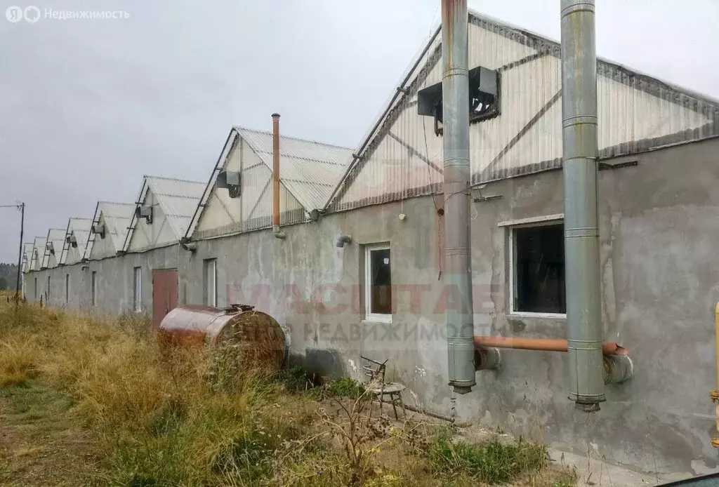 Участок в Ленинградская область, Выборг (1000 м) - Фото 2