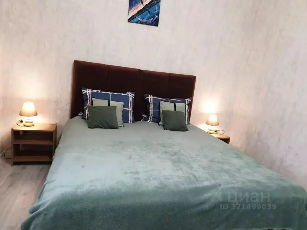 2-к кв. Московская область, Пушкино ул. Просвещения, 8к2 (54.0 м) - Фото 1