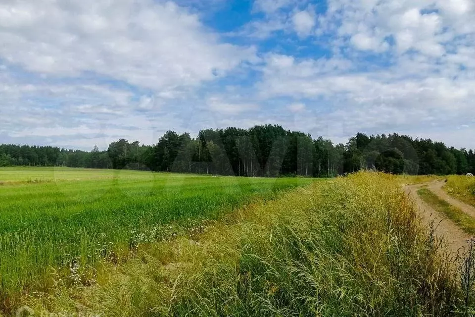 Участок 4,03 га (СНТ, ДНП) - Фото 0