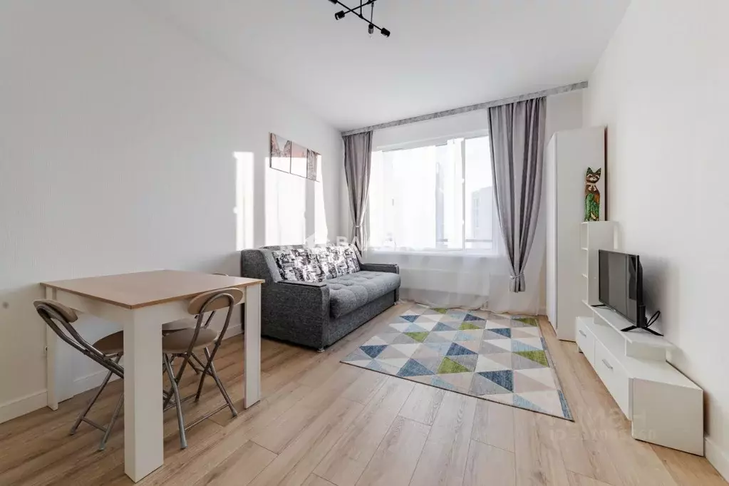 Студия Санкт-Петербург просп. Крузенштерна, 4с1 (21.0 м) - Фото 2