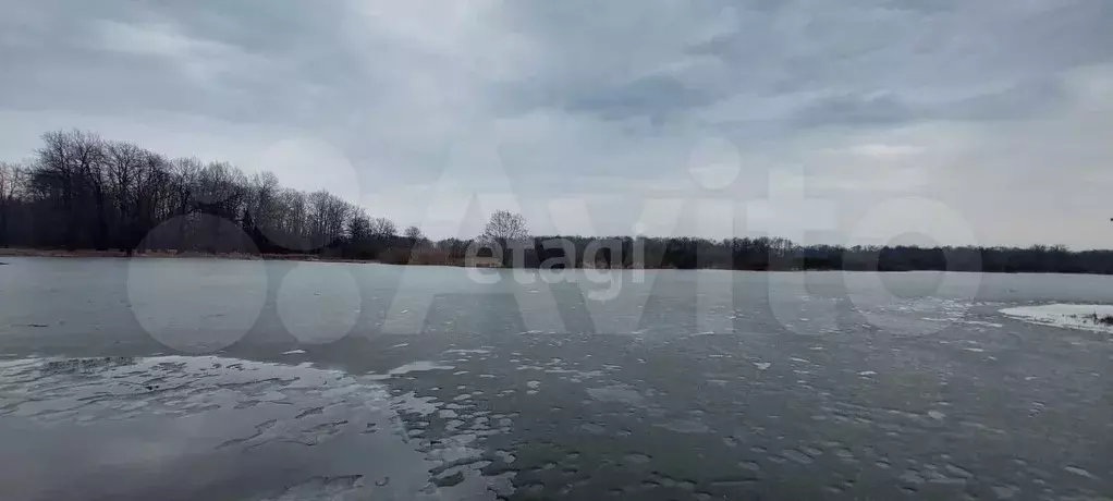Участок 80 сот. (ИЖС) - Фото 0