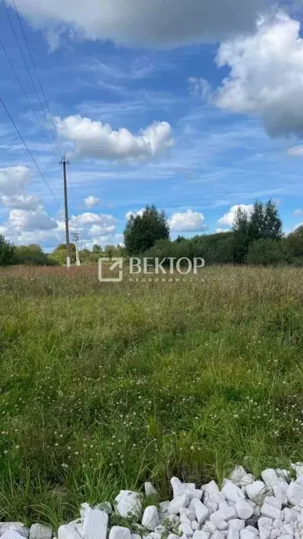 Участок в Костромская область, Красносельский район, Боровиковское ... - Фото 0