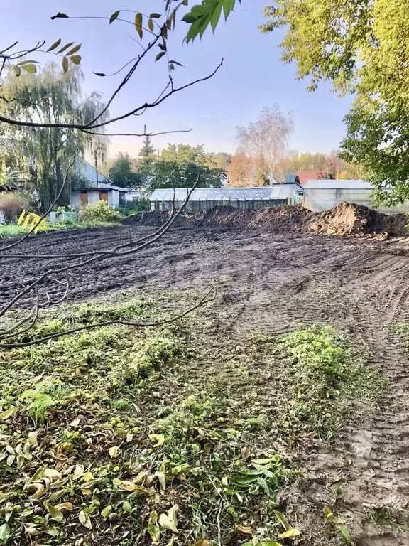 Участок в Алтайский край, Барнаул городской округ, Поселок Борзовая ... - Фото 0