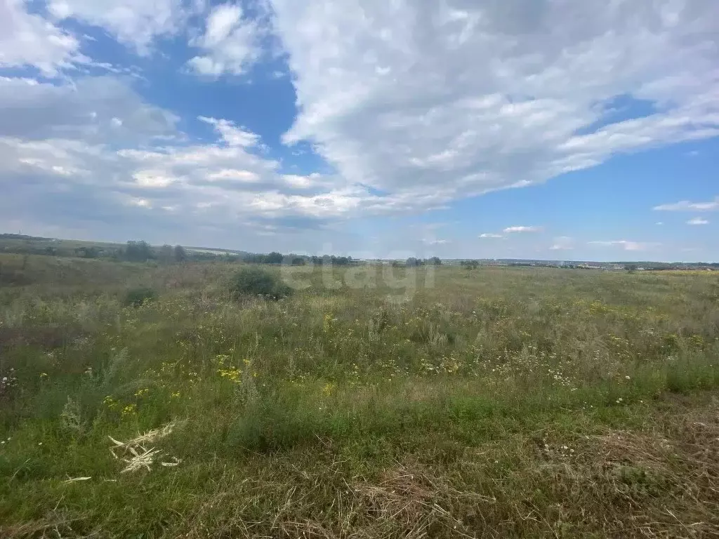 Участок в Белгородская область, Белгородский район, Хохловское с/пос, ... - Фото 1