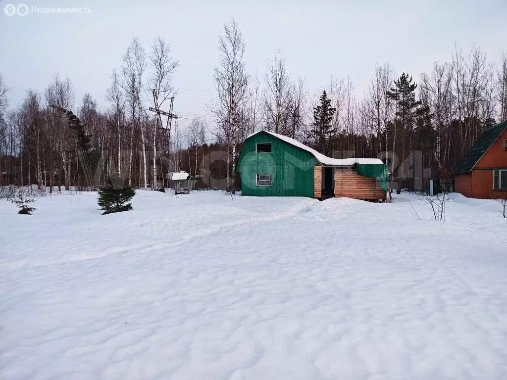 Дом в Богородский городской округ, СТ Дружба Плюс, Малиновая улица (80 ... - Фото 2