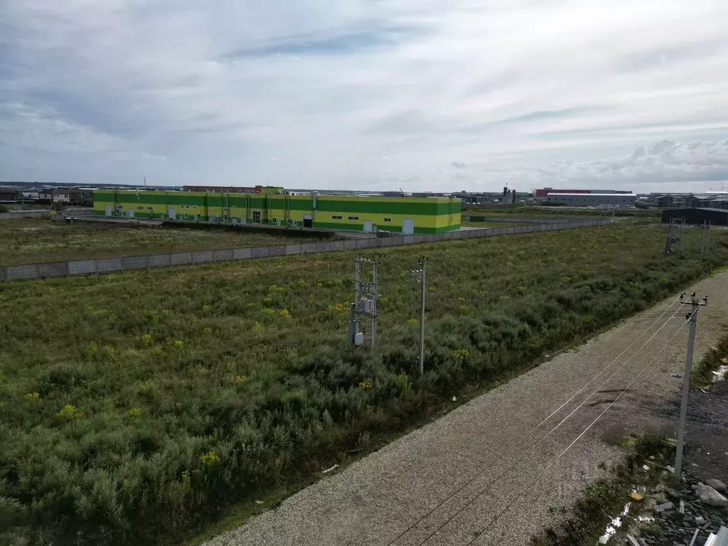 Участок в Ленинградская область, Тосненский район, Тельмановское ... - Фото 2