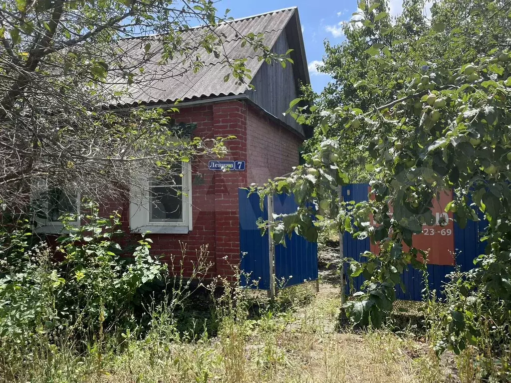 Дом 53 м на участке 5,45 га - Фото 1