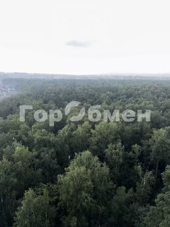 Продается 1-комнатная квартира - Фото 1