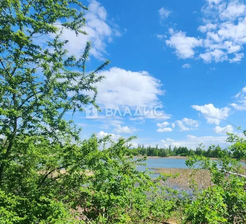 Дом в Воронежская область, Семилукский район, Стрелицкое городское ... - Фото 0