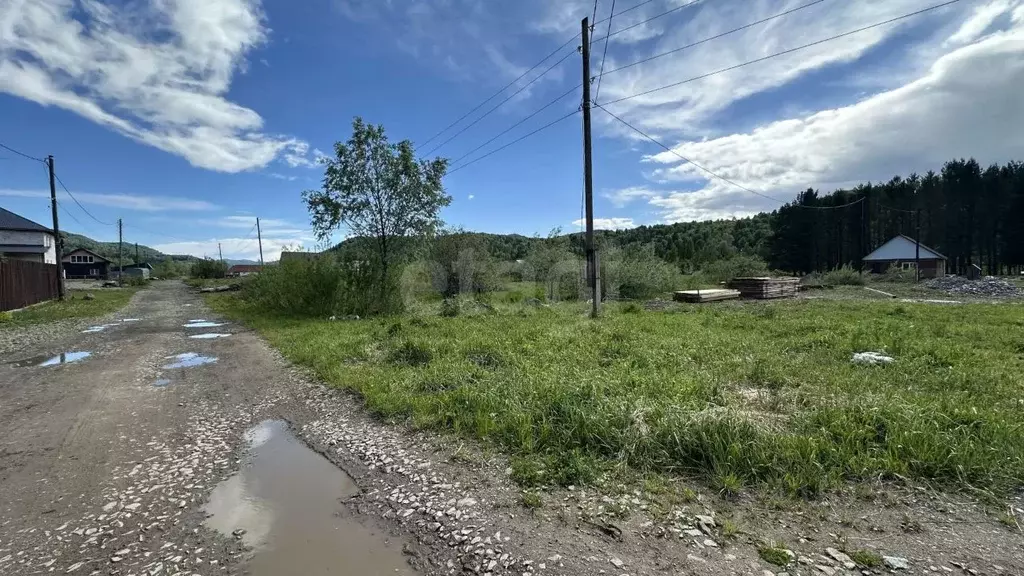Участок в Алтай, Майминский район, Поселок филиал ул. Молодежная, 36 ... - Фото 1