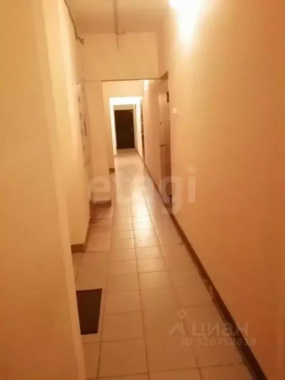 Студия Новосибирская область, Новосибирск ул. Одоевского, 1/2 (19.7 м) - Фото 1