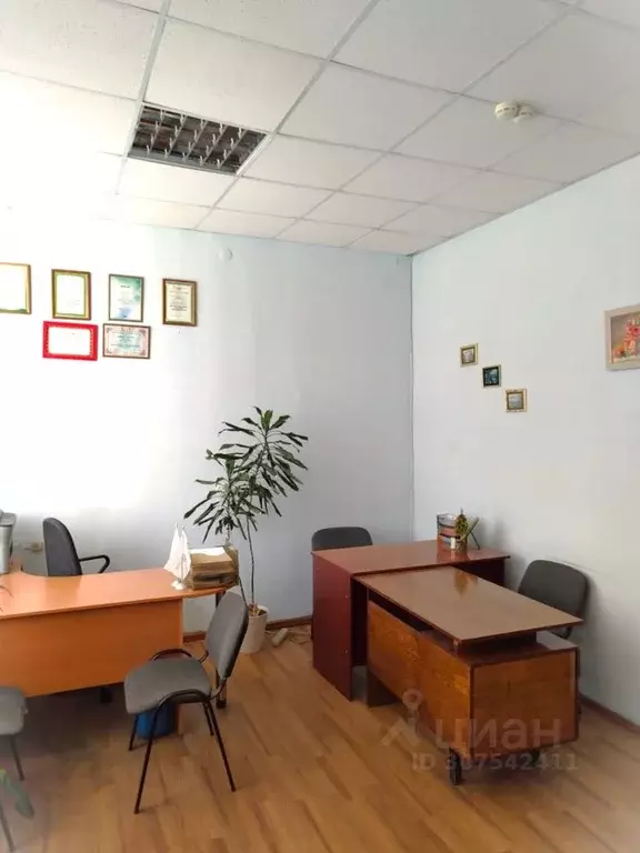 Офис в Омская область, Омск ул. Пушкина, 130 (29 м) - Фото 2