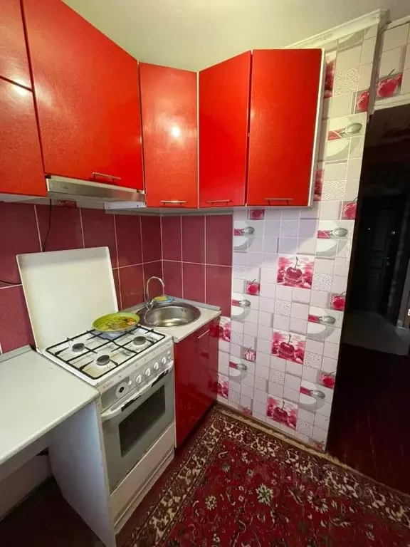 1-к кв. Курганская область, Курган ул. Радионова, 50 (30.0 м) - Фото 2