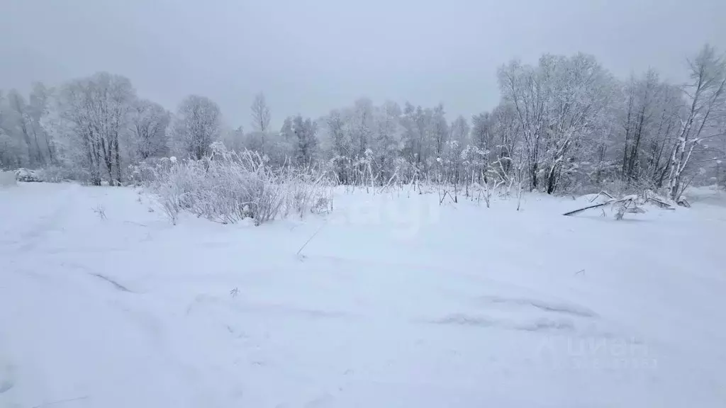 Участок в Ленинградская область, Киришский район, Будогощское ... - Фото 2