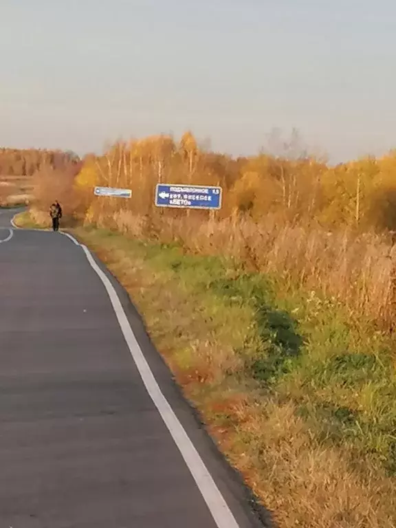 Участок в Нижегородская область, Богородский муниципальный округ, д. ... - Фото 0