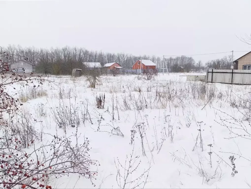 Участок в Белгородская область, Белгородский район, Беломестненское ... - Фото 1
