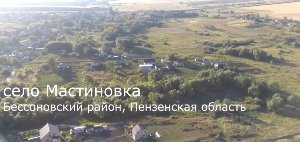 Участок в Пензенская область, Бессоновский район, с. Мастиновка ... - Фото 1