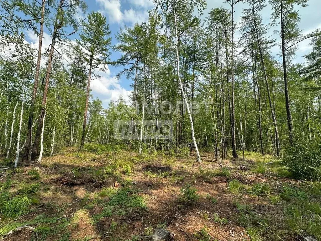 Участок в Саха (Якутия), Якутск Вилюйский тракт, 4-й км (12.3 сот.) - Фото 1