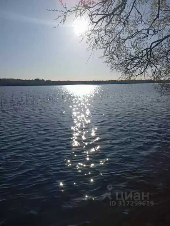 Участок в Новгородская область, Демянский муниципальный округ, д. ... - Фото 0
