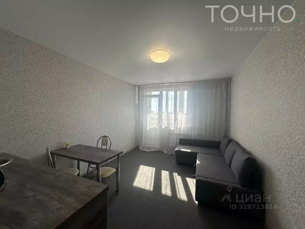 Студия Пензенская область, Пензенский район, Засечный сельсовет, с. ... - Фото 1