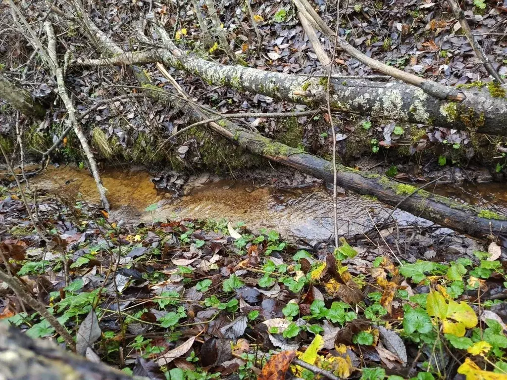 Участок в Ленинградская область, Приозерский район, Громовское с/пос, ... - Фото 2