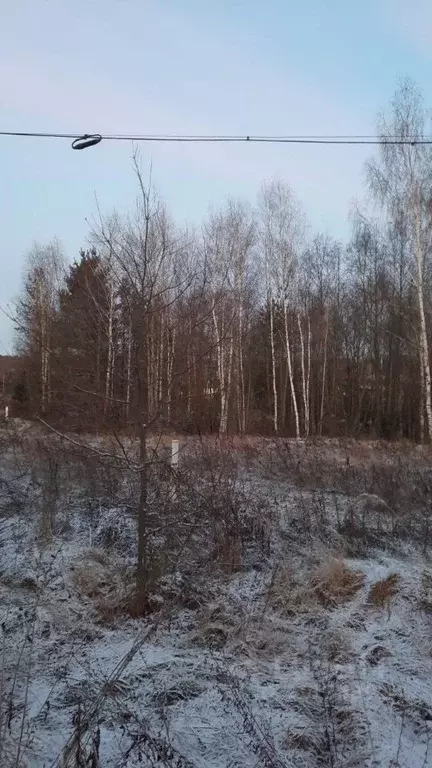 Участок в Московская область, Ступино городской округ, д. Прудно ул. ... - Фото 0