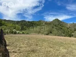 Участок в Усть-Коксинский район, село Усть-Кокса (417 м) - Фото 2