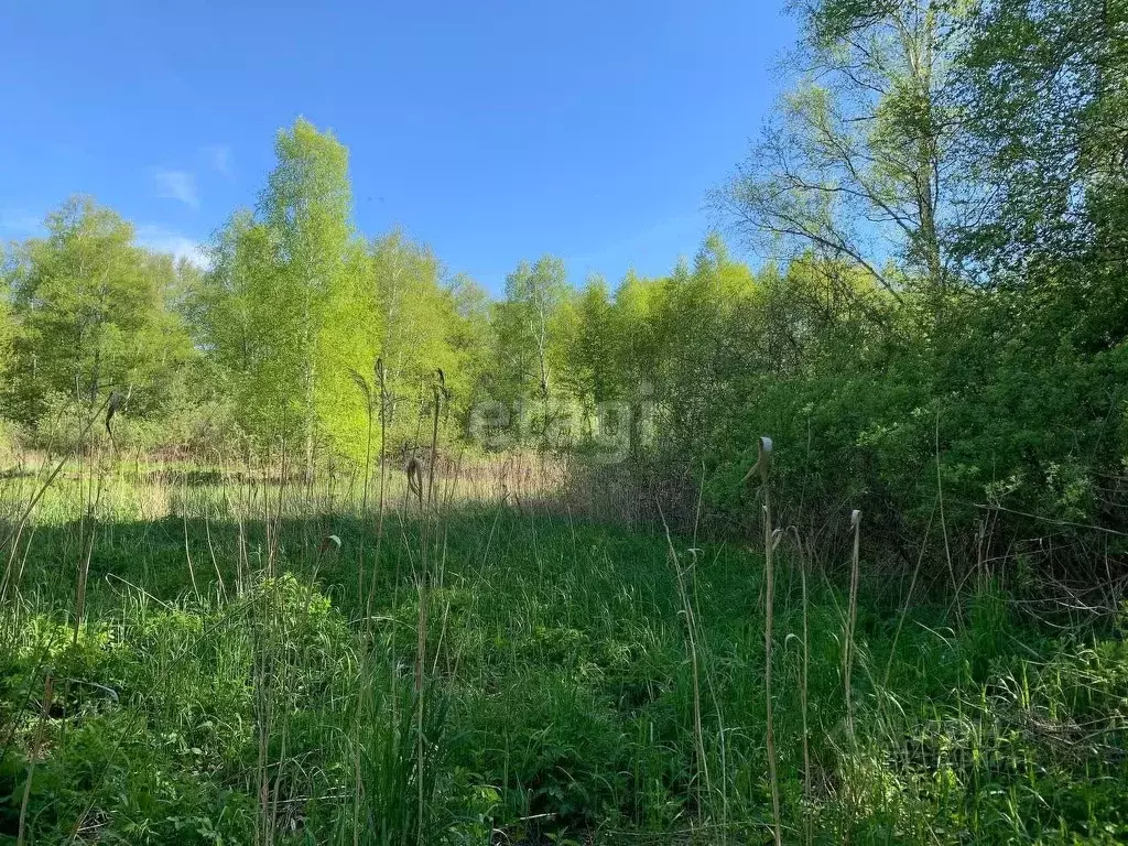 Участок в Свердловская область, Екатеринбург ВИЗ жилрайон,  (12.1 ... - Фото 1