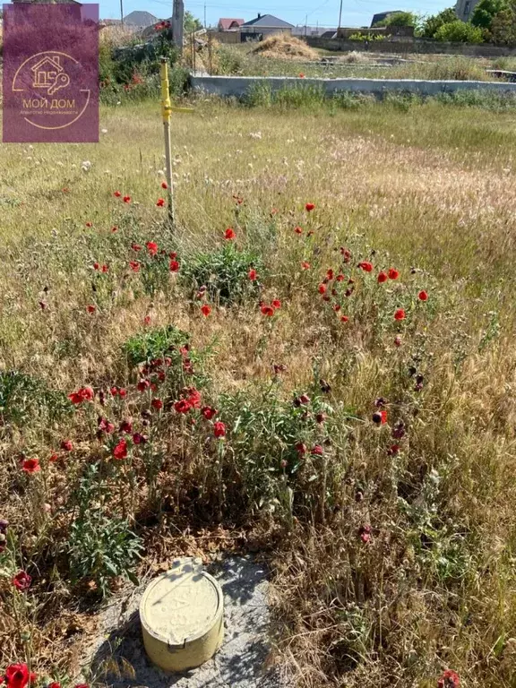 Участок в Крым, Сакский район, с. Суворовское 1 (8.0 сот.) - Фото 1