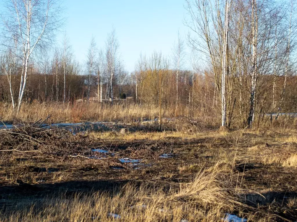 Участок в Московская область, Серпухов городской округ, д. Сенькино ... - Фото 1