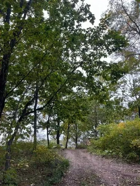 Участок в Приморский край, Находка Перевальная ул. (16.0 сот.) - Фото 1