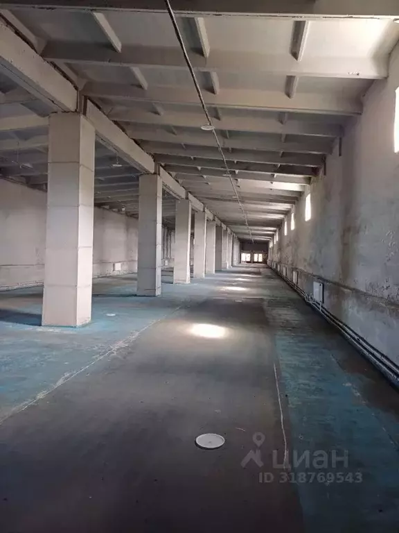Торговая площадь в Тамбовская область, Тамбов ул. Киквидзе, 118В (2200 ... - Фото 0