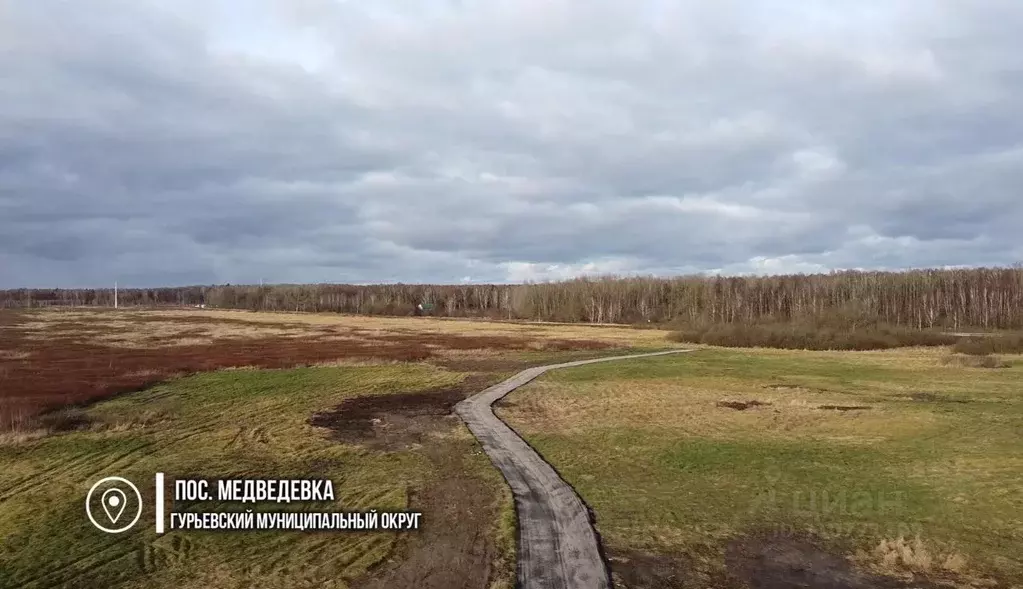 Участок в Калининградская область, Гурьевский муниципальный округ, ... - Фото 0