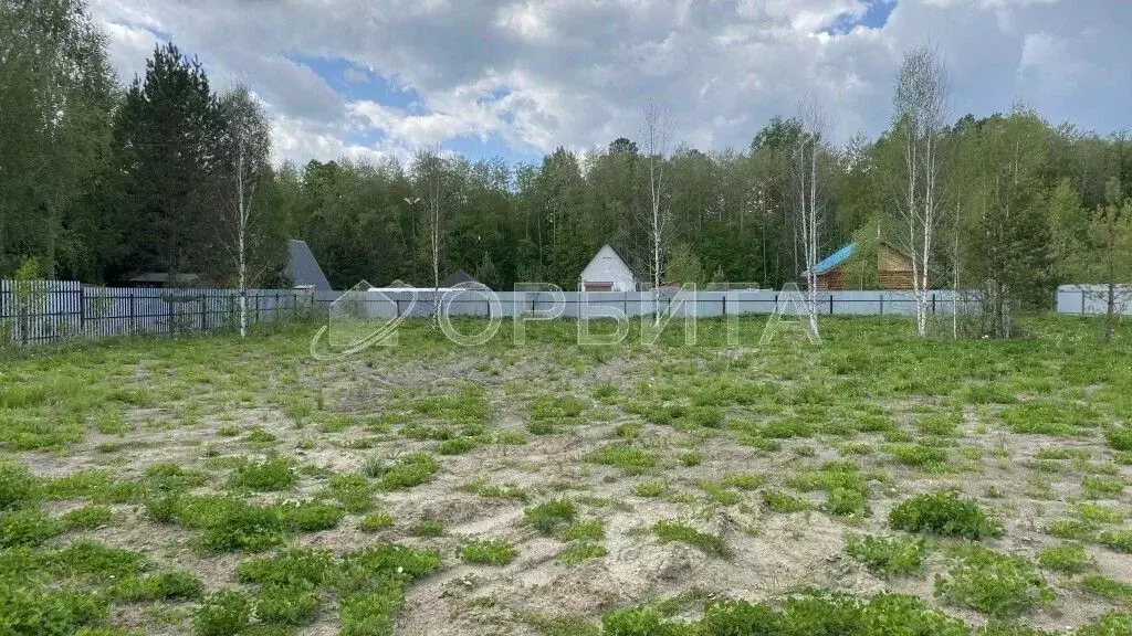 Участок в Тюменская область, Нижнетавдинский район, Геолог-2 СНТ 1-я ... - Фото 1